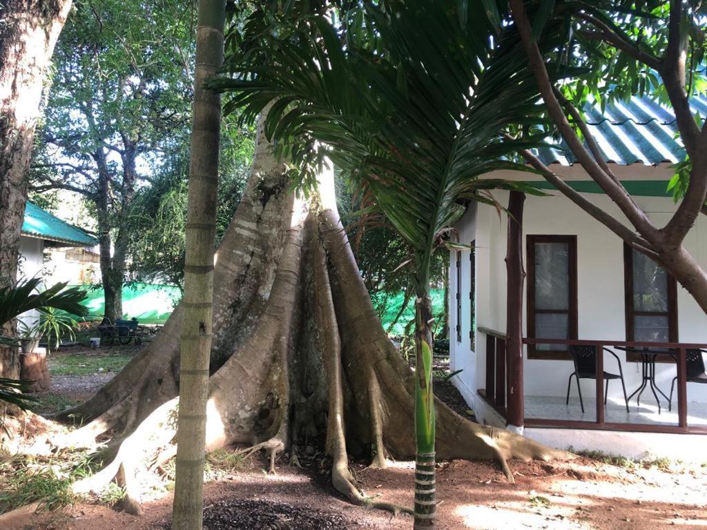 Tropical Paradise Leelawadee Resort Koh Chang Esterno foto